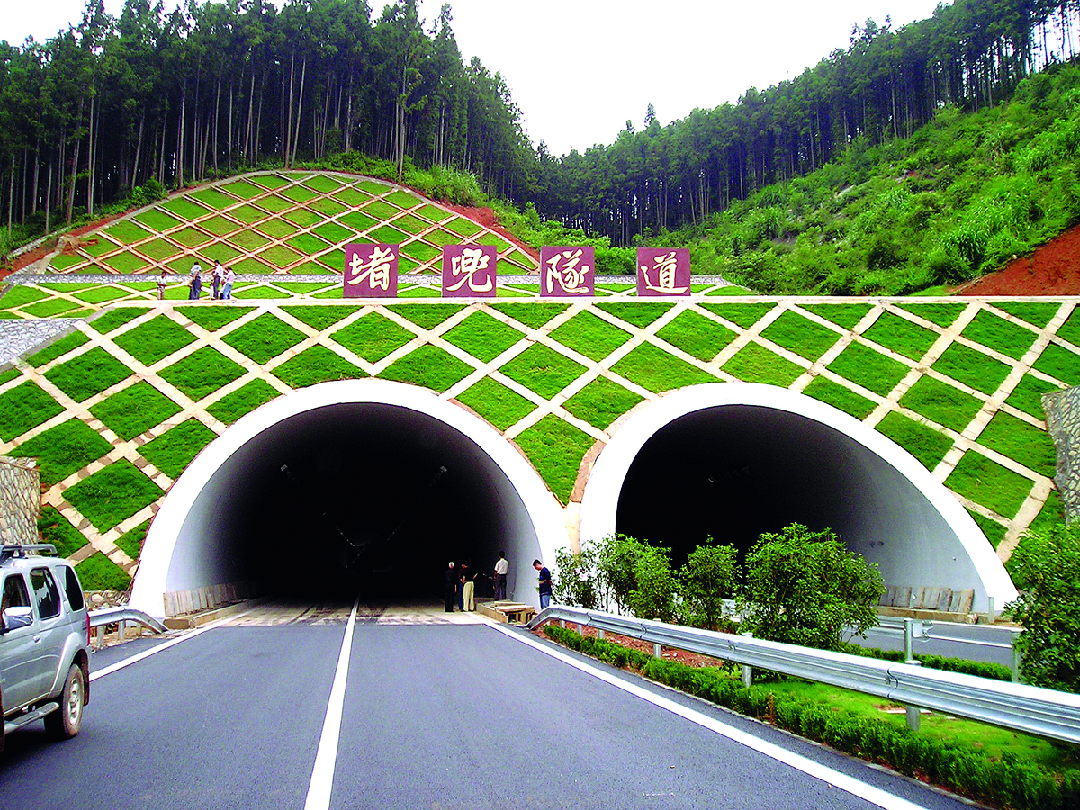 S36沙龙会 - 要玩就玩沙龙会