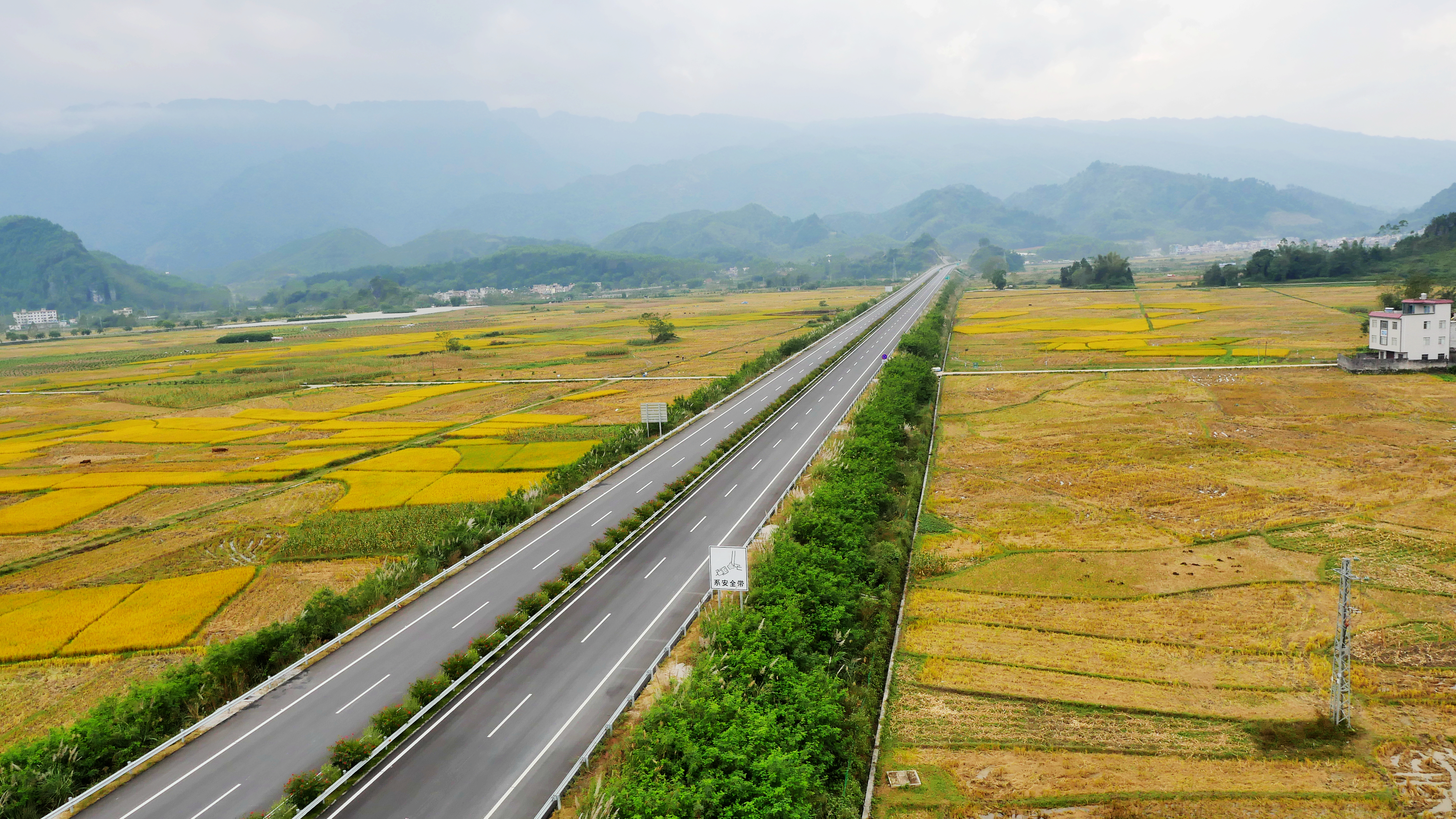 S36沙龙会 - 要玩就玩沙龙会