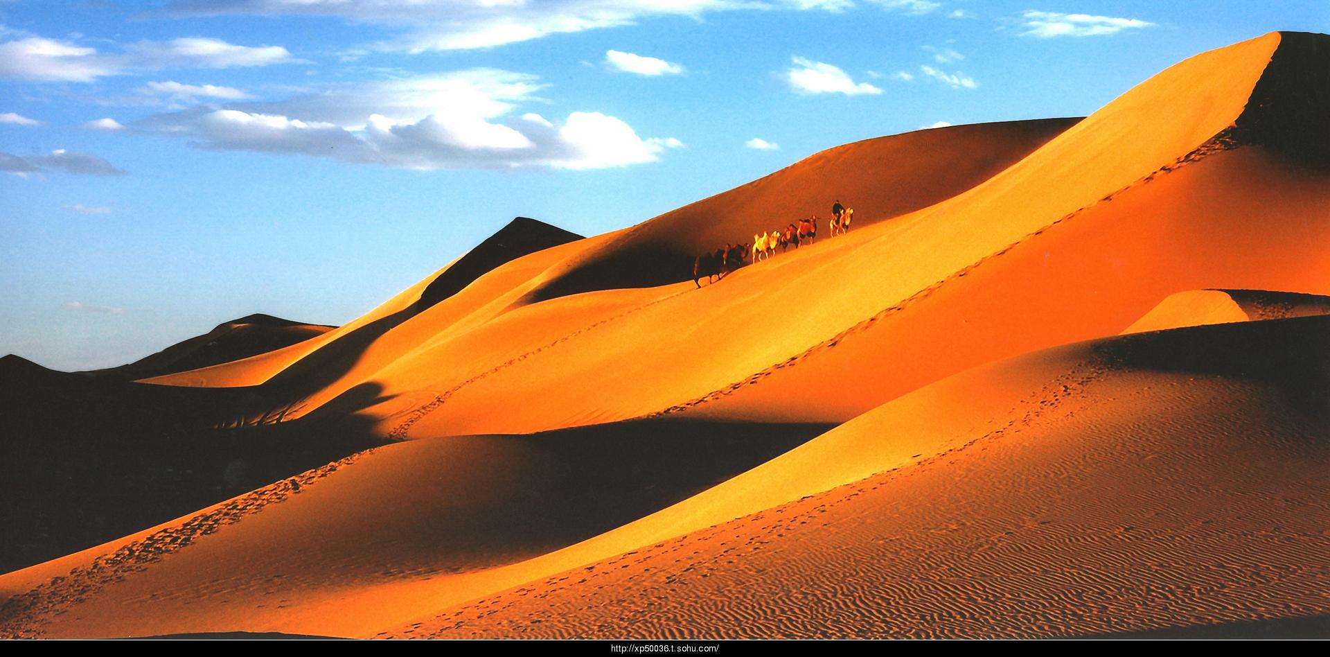 S36沙龙会 - 要玩就玩沙龙会