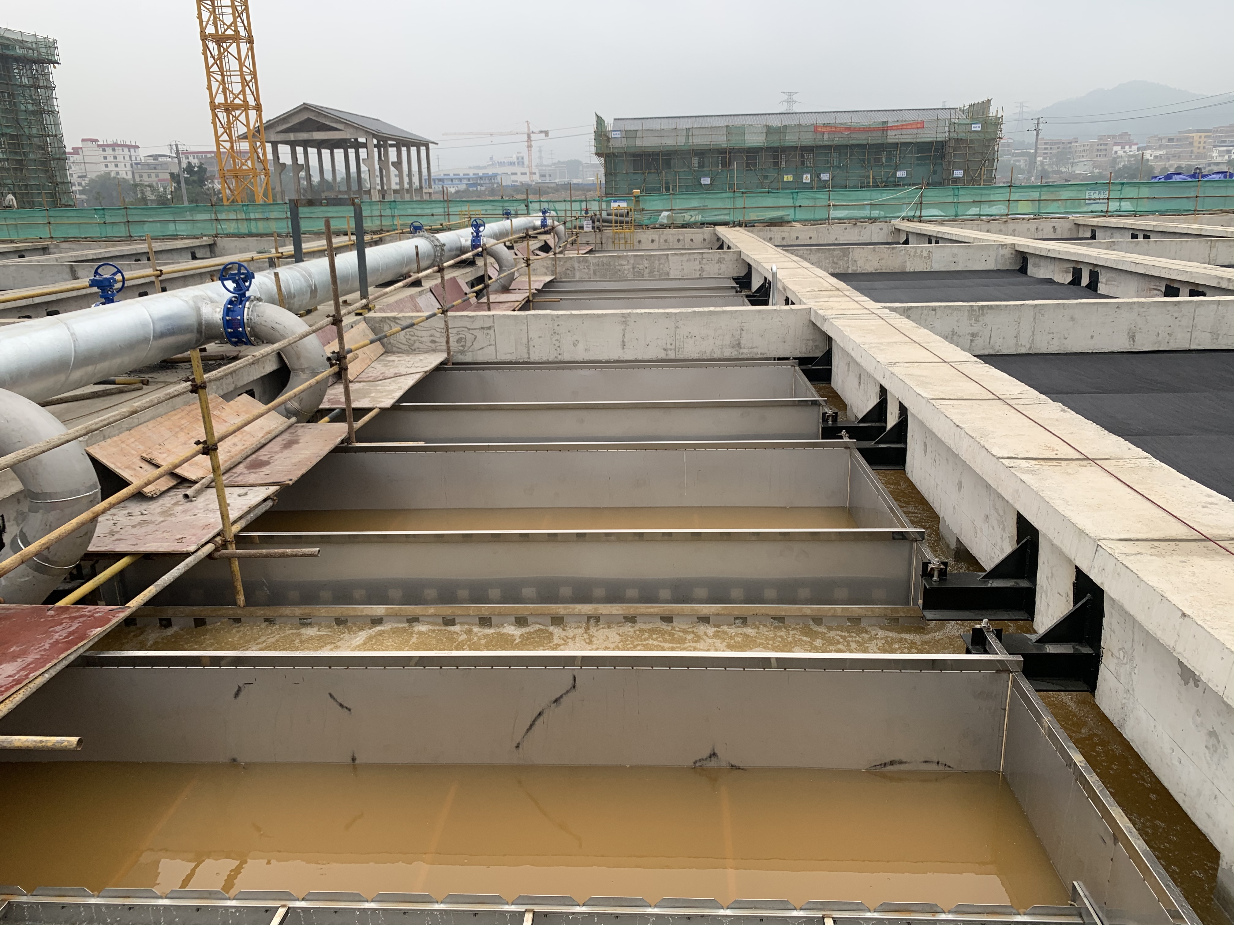 S36沙龙会 - 要玩就玩沙龙会