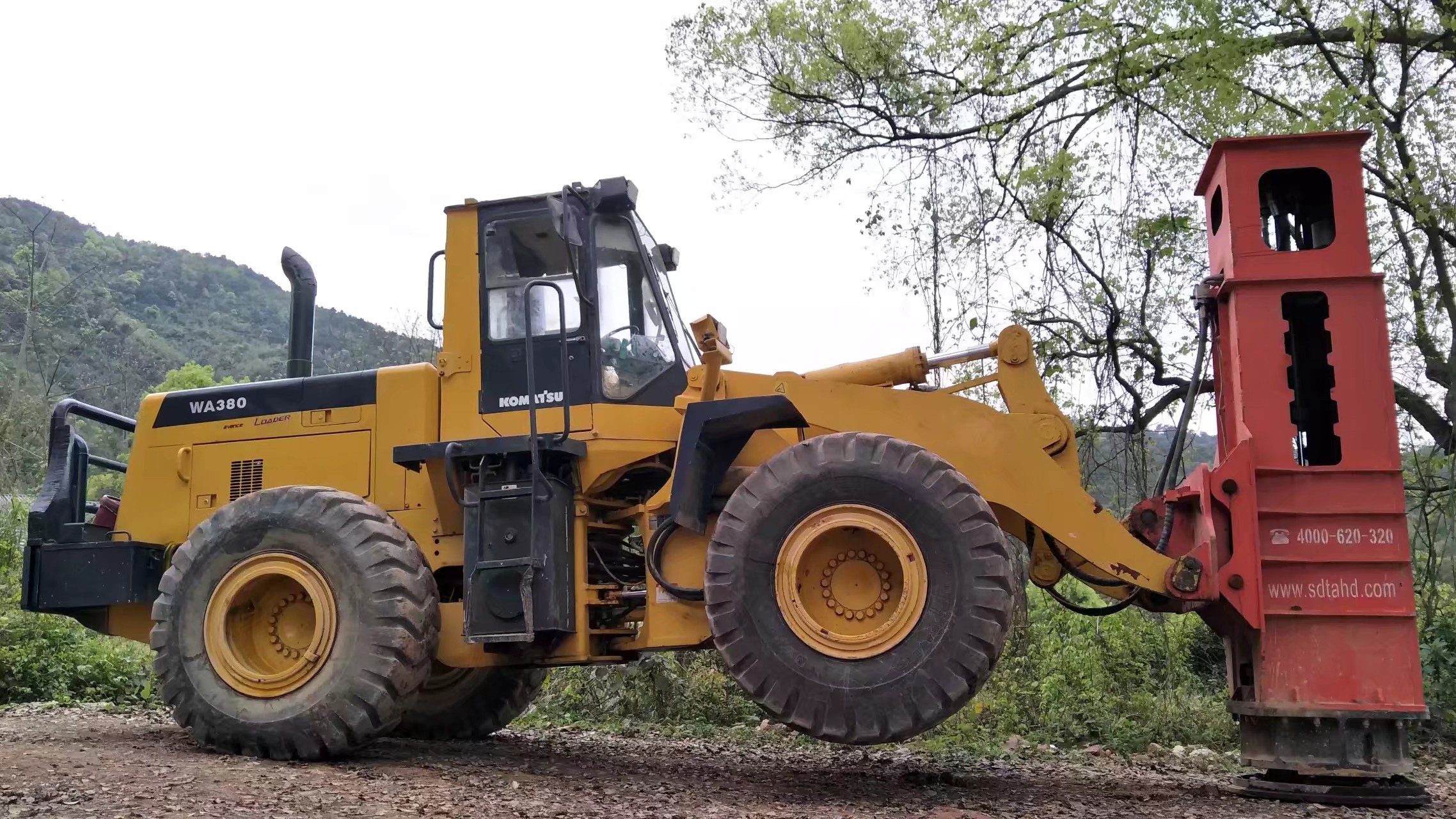 S36沙龙会 - 要玩就玩沙龙会