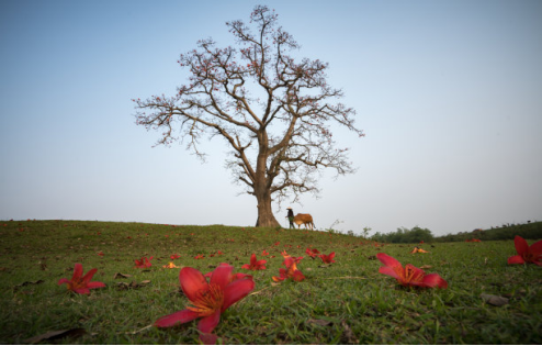 S36沙龙会 - 要玩就玩沙龙会