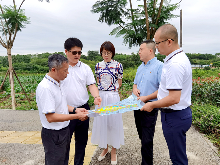 S36沙龙会 - 要玩就玩沙龙会