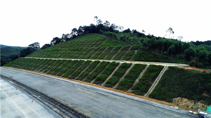 S36沙龙会 - 要玩就玩沙龙会