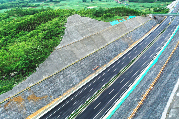 S36沙龙会 - 要玩就玩沙龙会