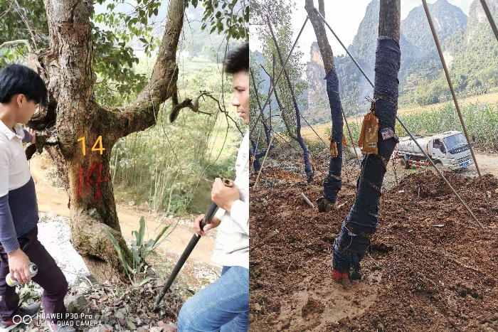 S36沙龙会 - 要玩就玩沙龙会