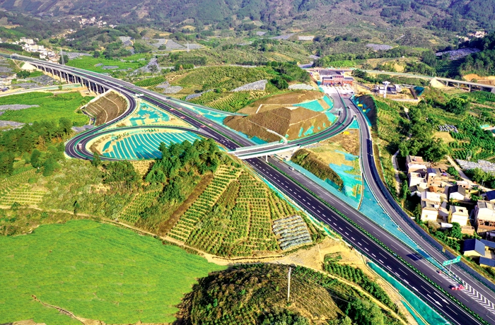 S36沙龙会 - 要玩就玩沙龙会