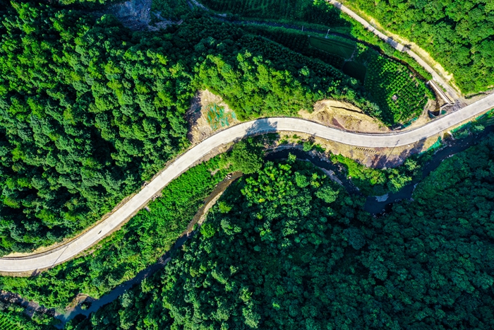 S36沙龙会 - 要玩就玩沙龙会