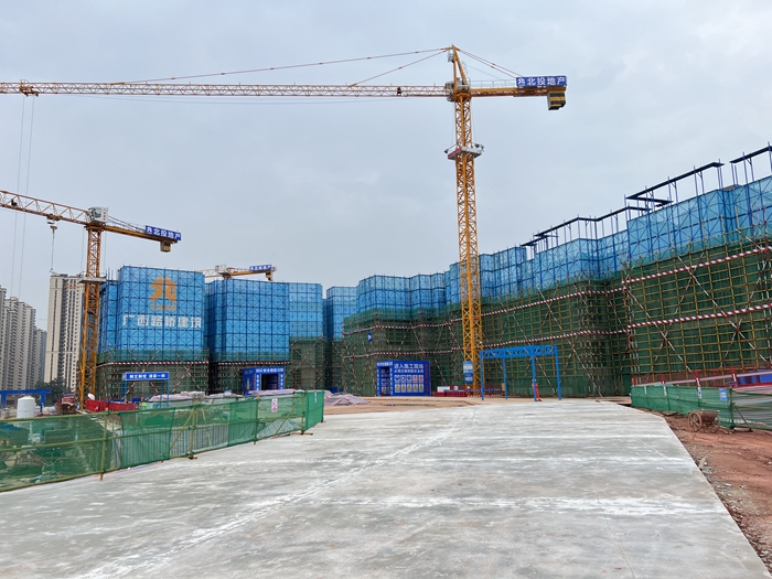 S36沙龙会 - 要玩就玩沙龙会