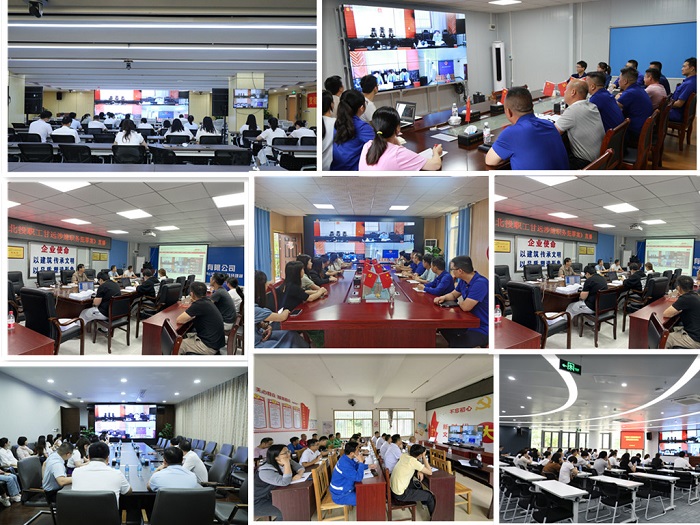 S36沙龙会 - 要玩就玩沙龙会