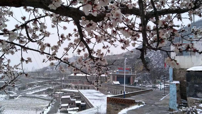 S36沙龙会 - 要玩就玩沙龙会