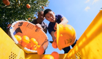 广西S36沙龙会“百年风华 交透风范”天下交通运输摄影大赛参赛作品——滇桂一家亲