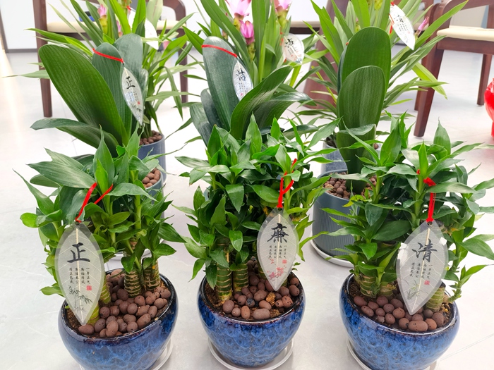 S36沙龙会 - 要玩就玩沙龙会