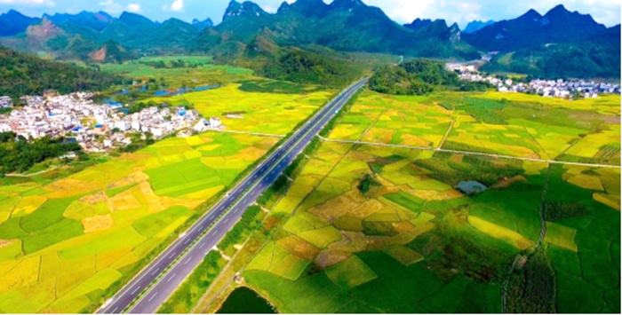 S36沙龙会 - 要玩就玩沙龙会