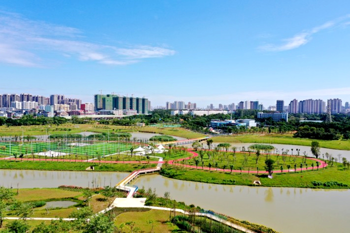 S36沙龙会 - 要玩就玩沙龙会