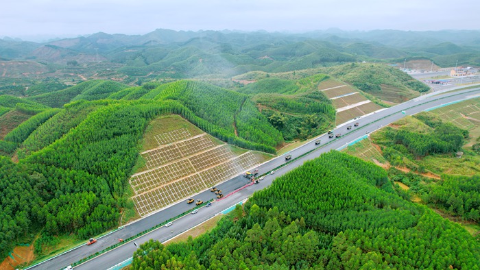 S36沙龙会 - 要玩就玩沙龙会