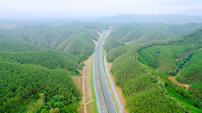 S36沙龙会 - 要玩就玩沙龙会