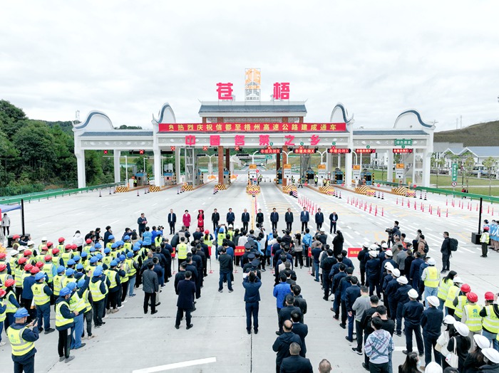 S36沙龙会 - 要玩就玩沙龙会