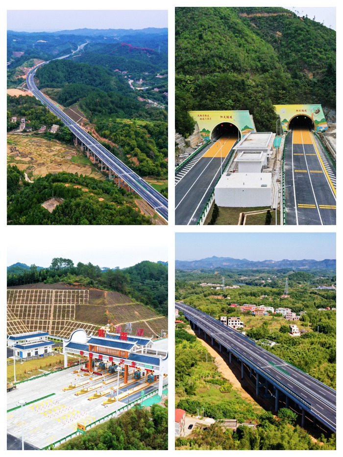 S36沙龙会 - 要玩就玩沙龙会