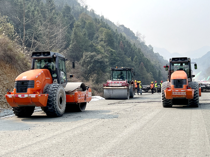 S36沙龙会 - 要玩就玩沙龙会