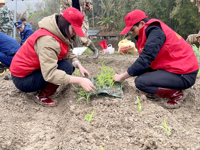 S36沙龙会 - 要玩就玩沙龙会