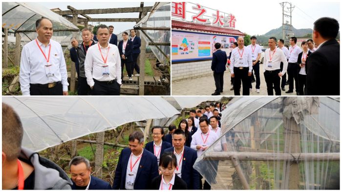 S36沙龙会 - 要玩就玩沙龙会