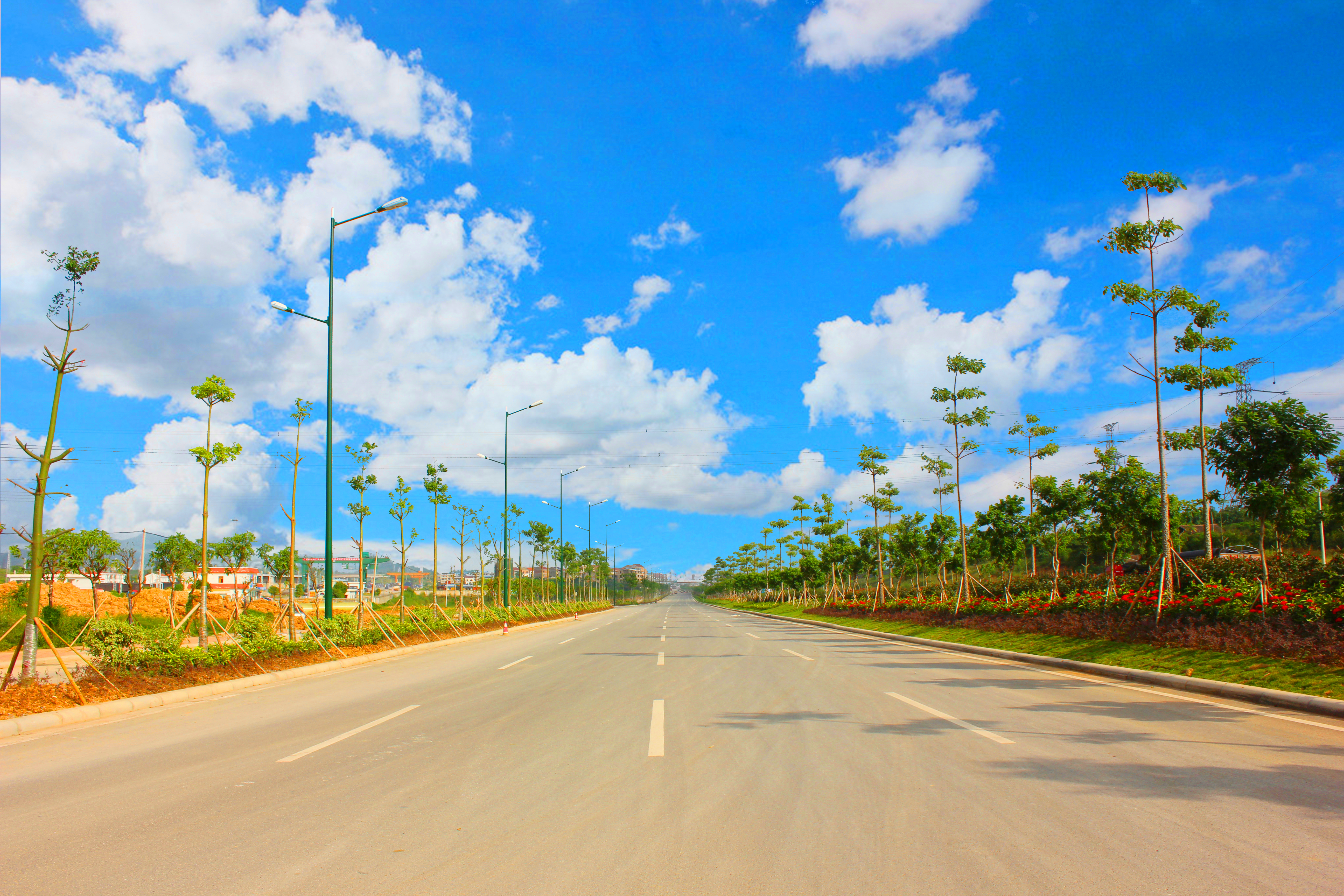 S36沙龙会 - 要玩就玩沙龙会