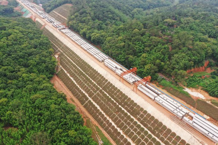 S36沙龙会 - 要玩就玩沙龙会