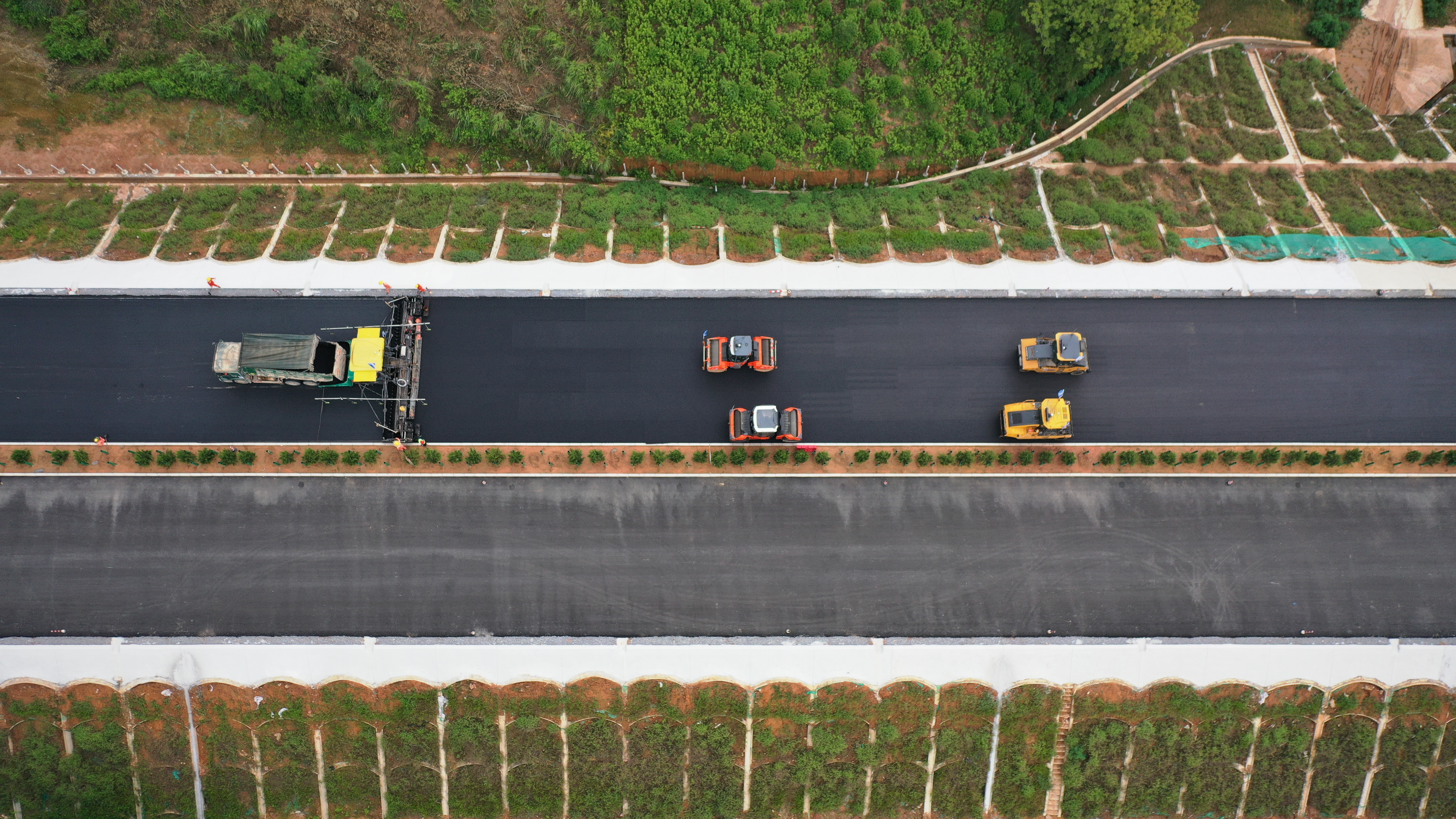 S36沙龙会 - 要玩就玩沙龙会