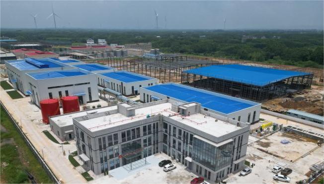 S36沙龙会 - 要玩就玩沙龙会