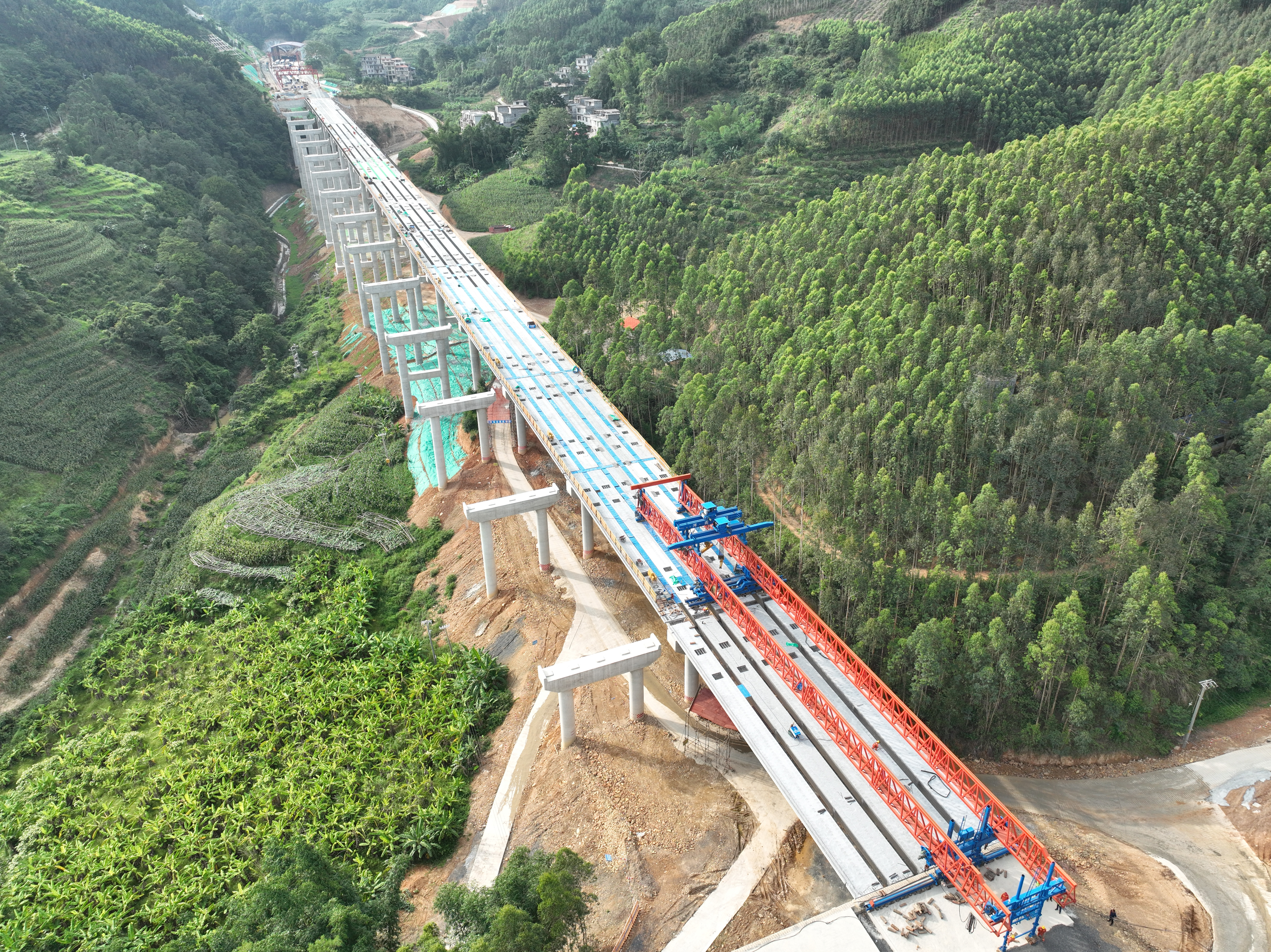 S36沙龙会 - 要玩就玩沙龙会