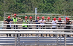 thumb_240_150_20230920035919714