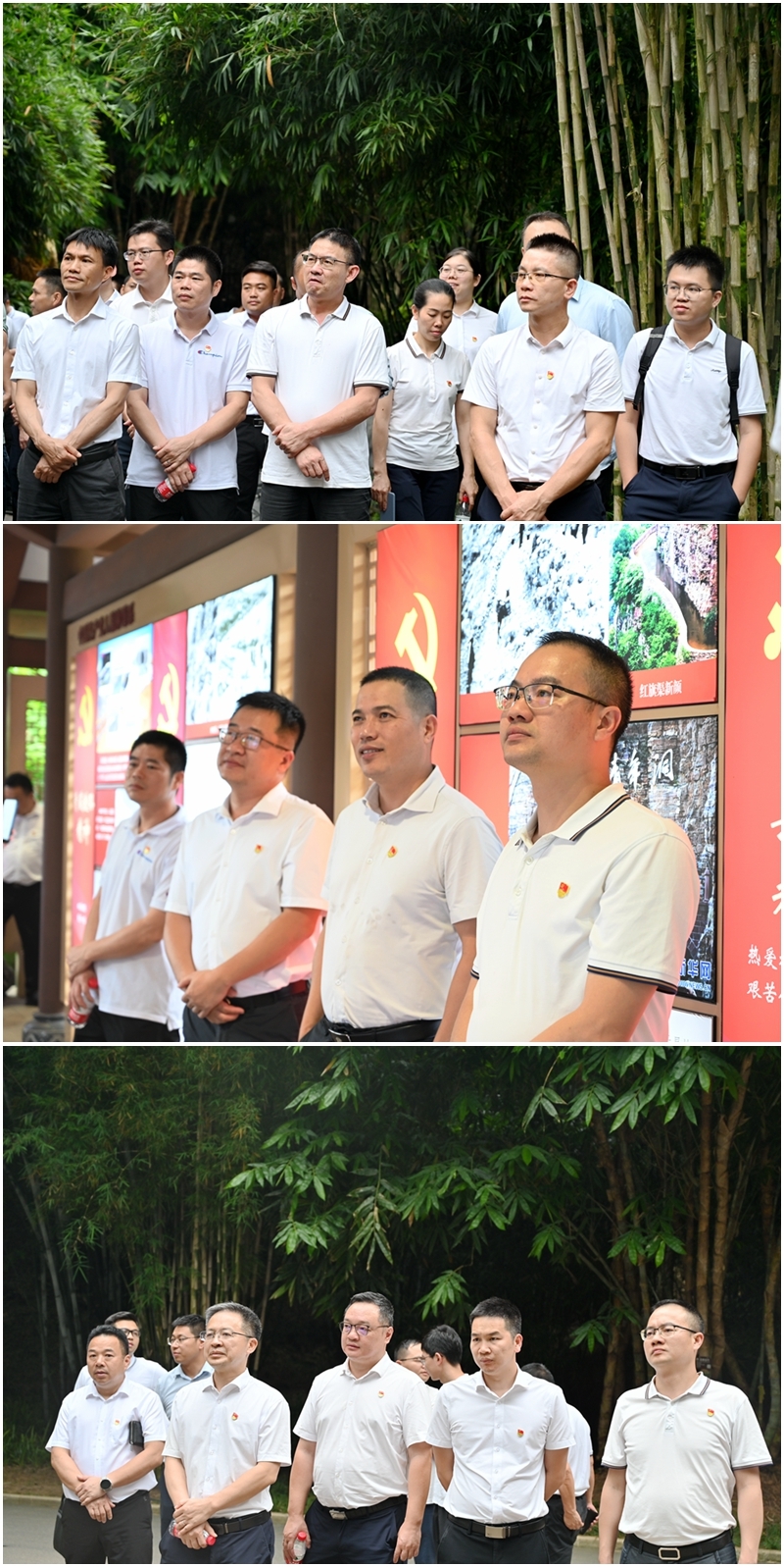 S36沙龙会 - 要玩就玩沙龙会