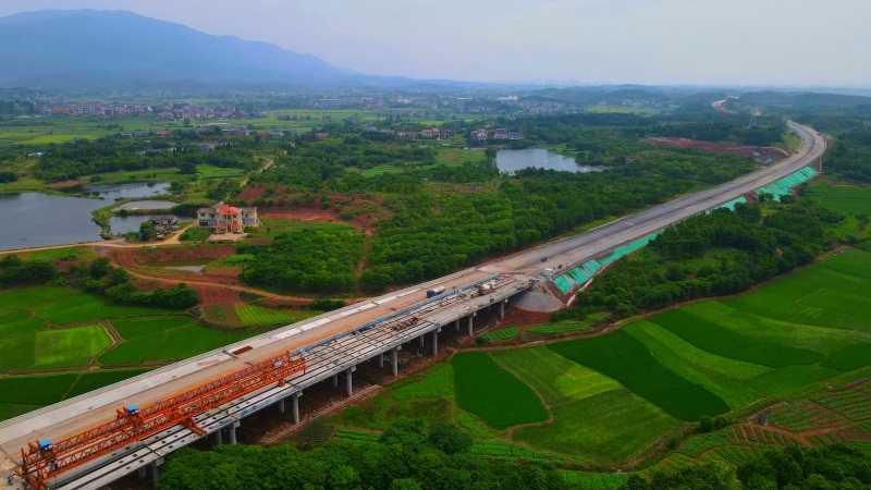 S36沙龙会 - 要玩就玩沙龙会