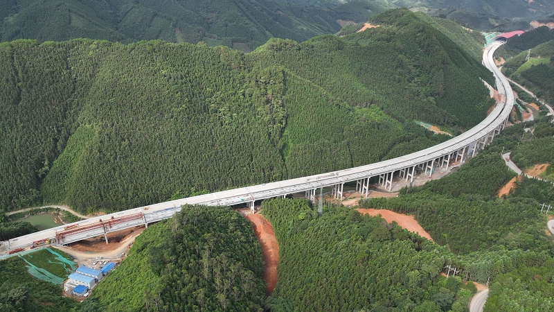 S36沙龙会 - 要玩就玩沙龙会