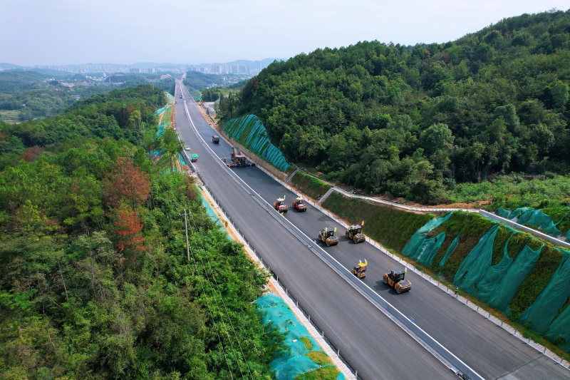 S36沙龙会 - 要玩就玩沙龙会