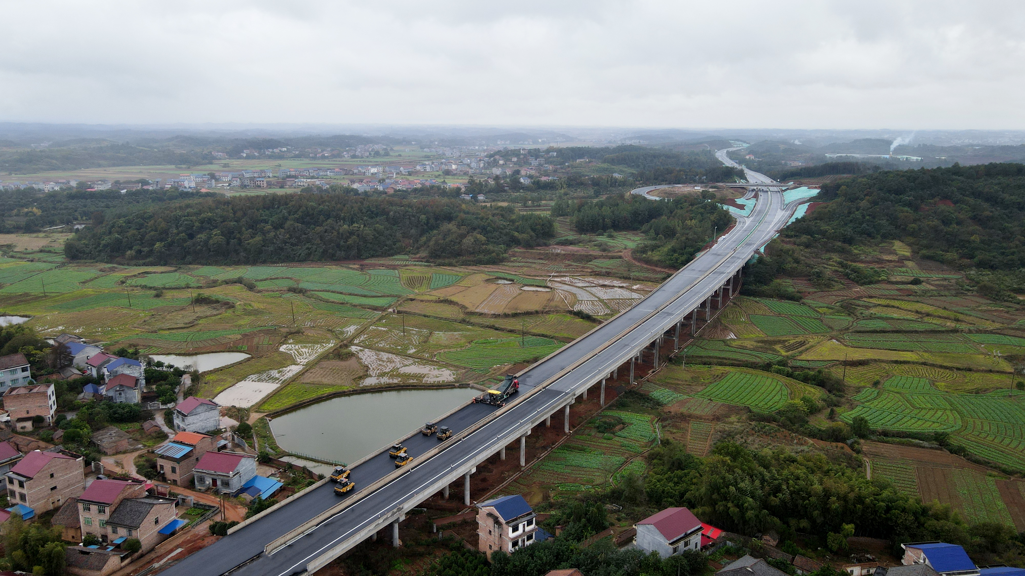 S36沙龙会 - 要玩就玩沙龙会