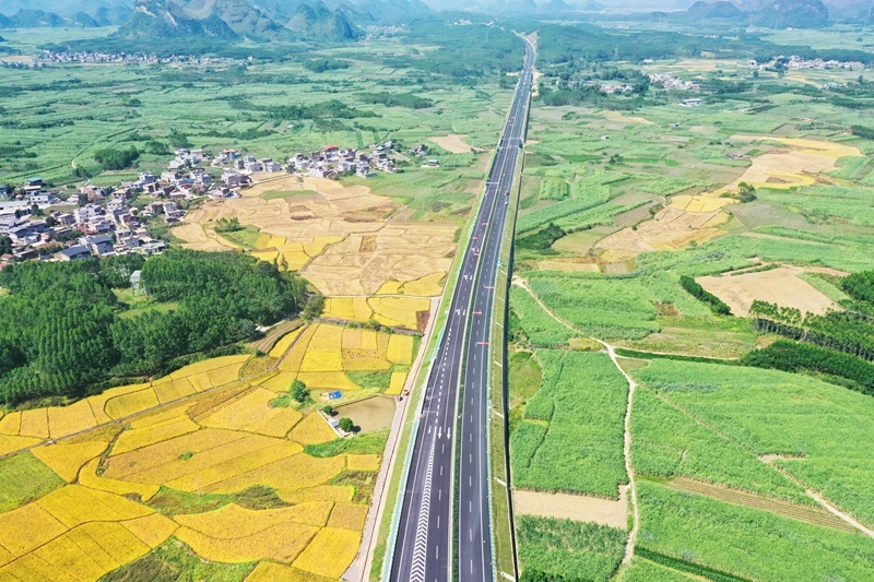 S36沙龙会 - 要玩就玩沙龙会