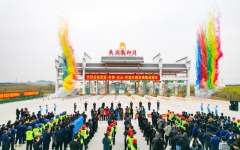 thumb_240_150_20241230103746421