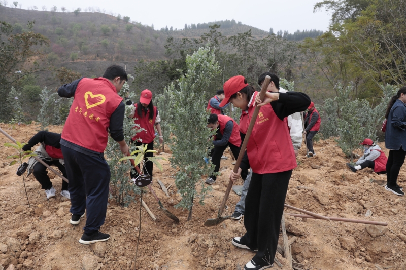 S36沙龙会 - 要玩就玩沙龙会