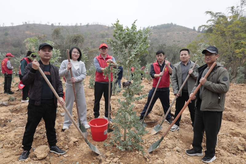 S36沙龙会 - 要玩就玩沙龙会