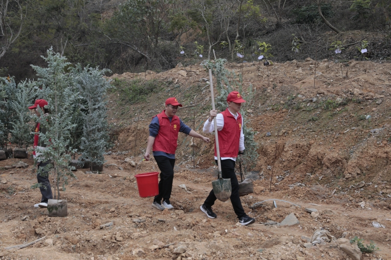 S36沙龙会 - 要玩就玩沙龙会