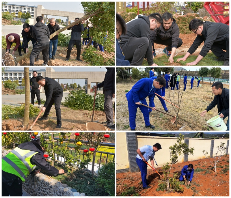 S36沙龙会 - 要玩就玩沙龙会