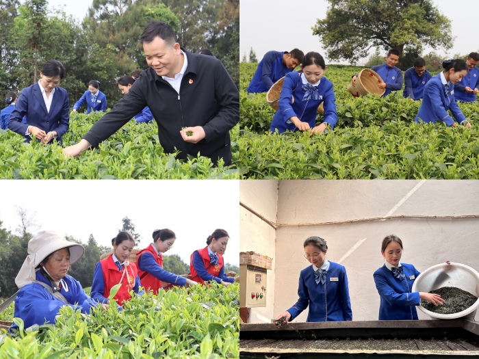 S36沙龙会 - 要玩就玩沙龙会