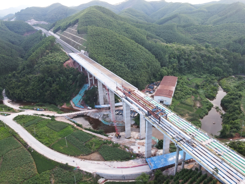 S36沙龙会 - 要玩就玩沙龙会