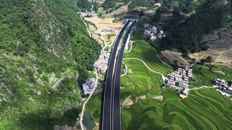 S36沙龙会 - 要玩就玩沙龙会